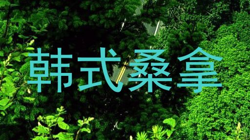 韩式桑拿