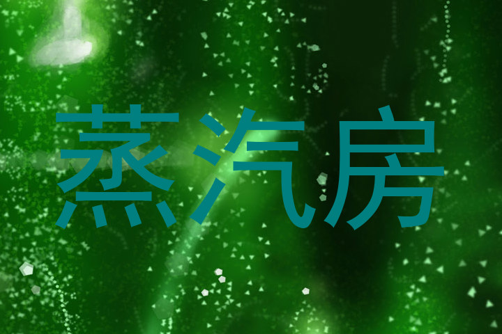 蒸汽房