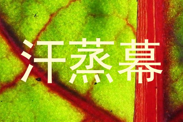 汗蒸幕