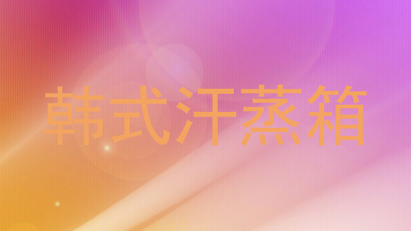 韩式汗蒸箱