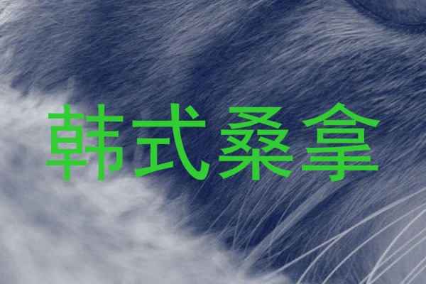 韩式桑拿