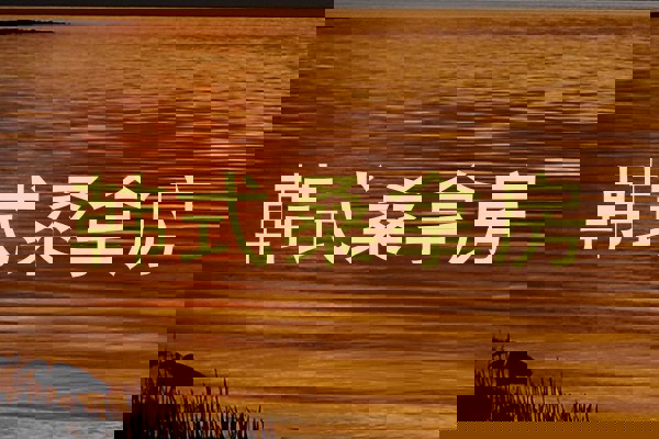 韩式桑拿房
