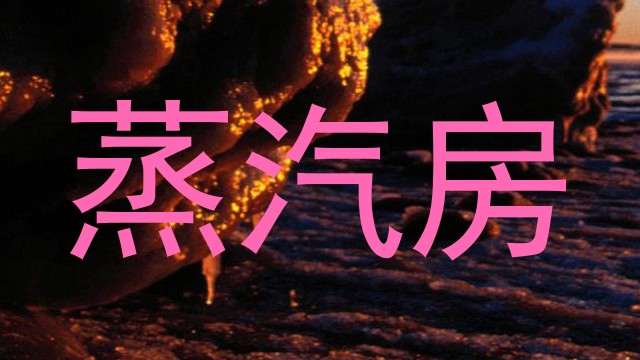 蒸汽房