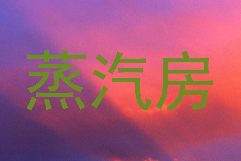 蒸汽房