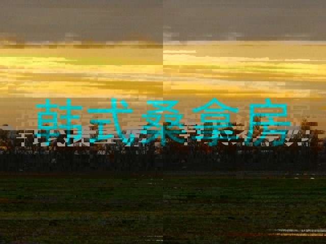 韩式桑拿房