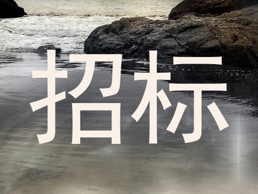 招标