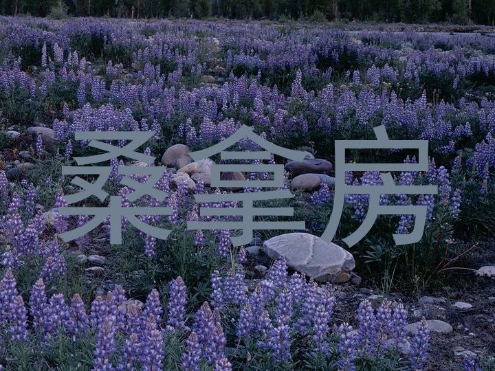 桑拿房