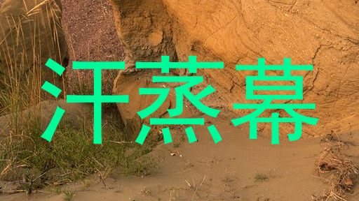 汗蒸幕