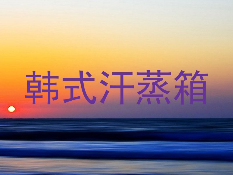 韩式汗蒸箱