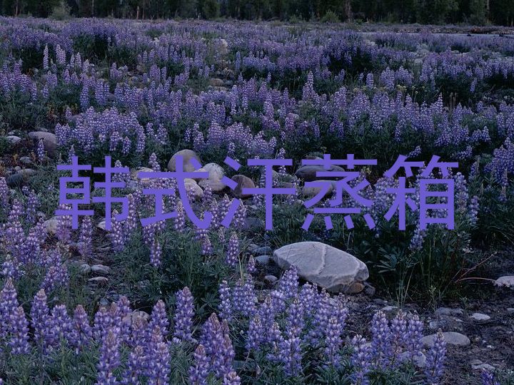 韩式汗蒸箱