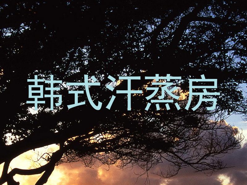 韩式汗蒸房