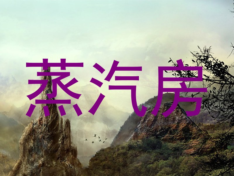 蒸汽房