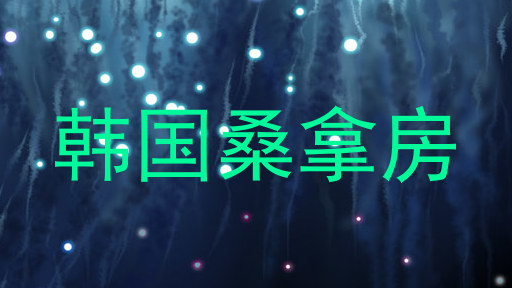 韩国桑拿房