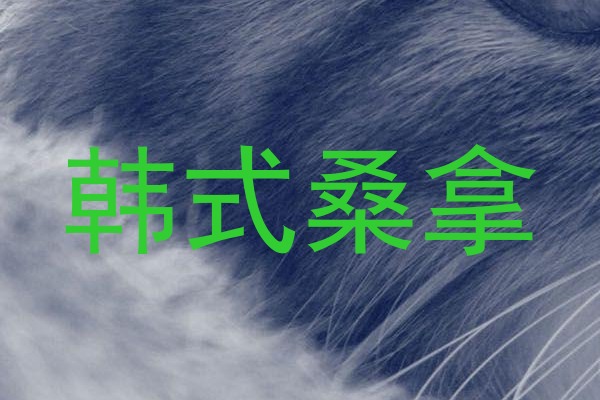 韩式桑拿