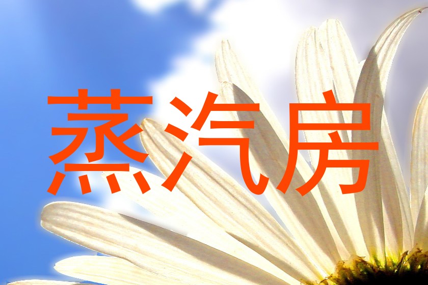 蒸汽房