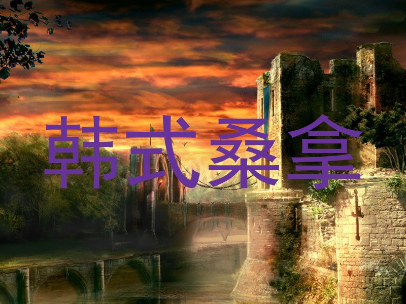 韩式桑拿