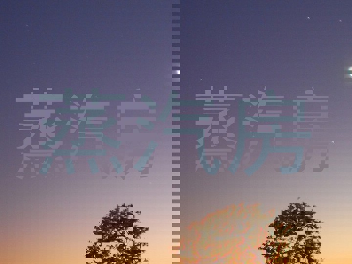 蒸汽房