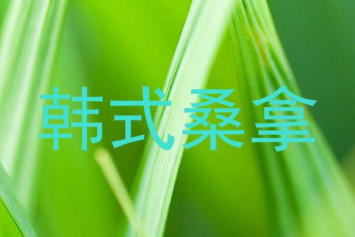 韩式桑拿