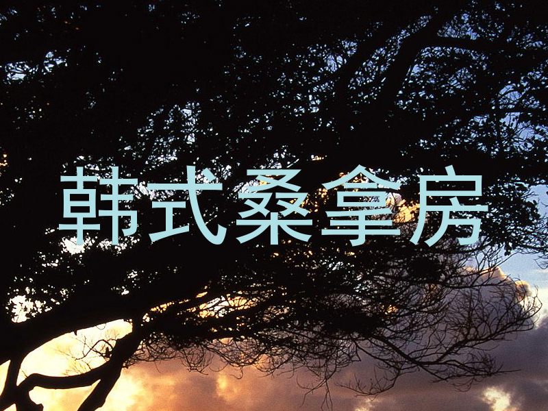 韩式桑拿房