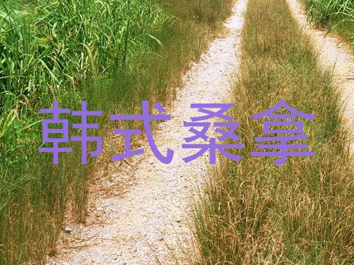 韩式桑拿