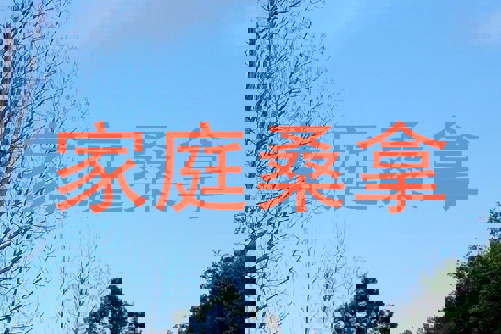 家庭桑拿