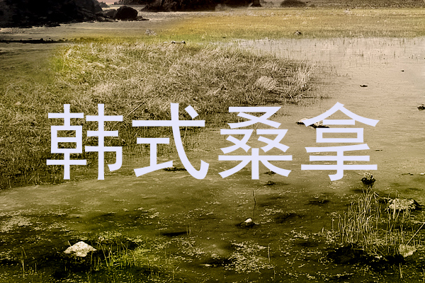 韩式桑拿