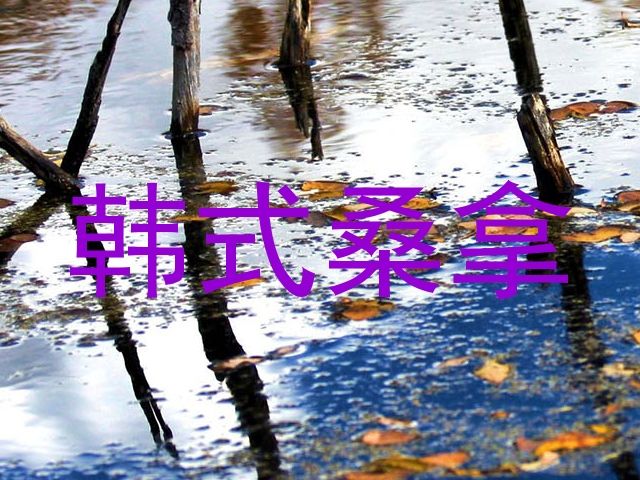 韩式桑拿