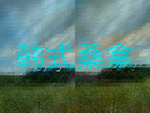 韩式桑拿
