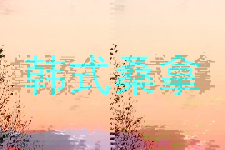 韩式桑拿