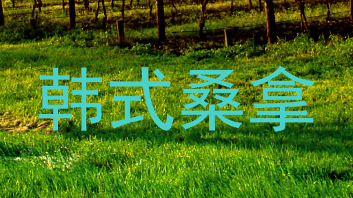 韩式桑拿