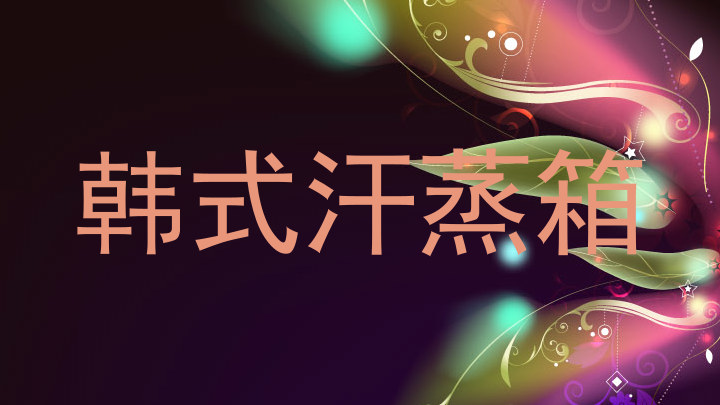 韩式汗蒸箱