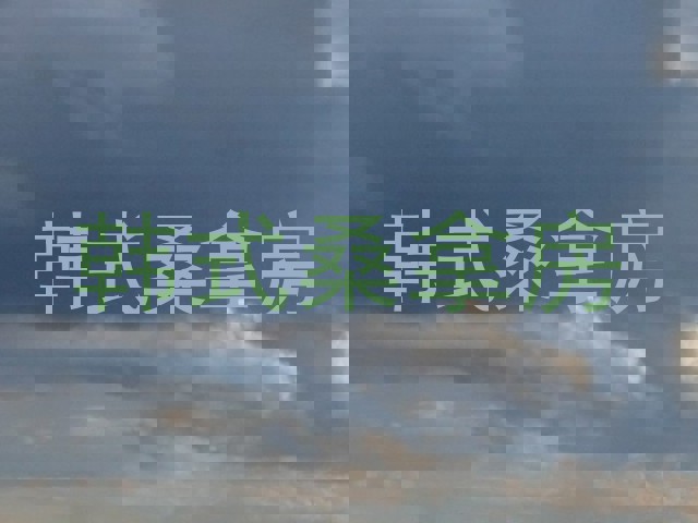 韩式桑拿房