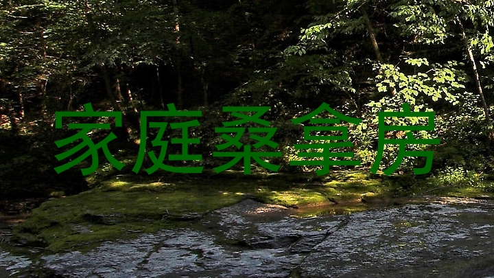 家庭桑拿房