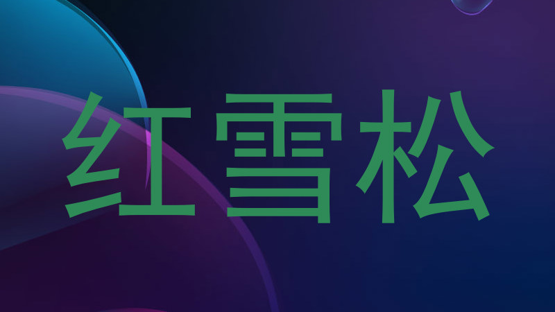 红雪松