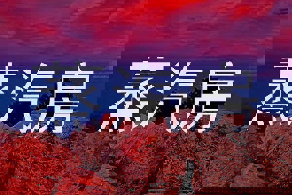 蒸汽房