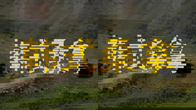 韩式桑拿