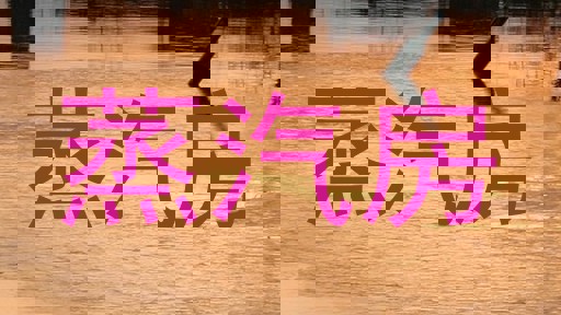 蒸汽房