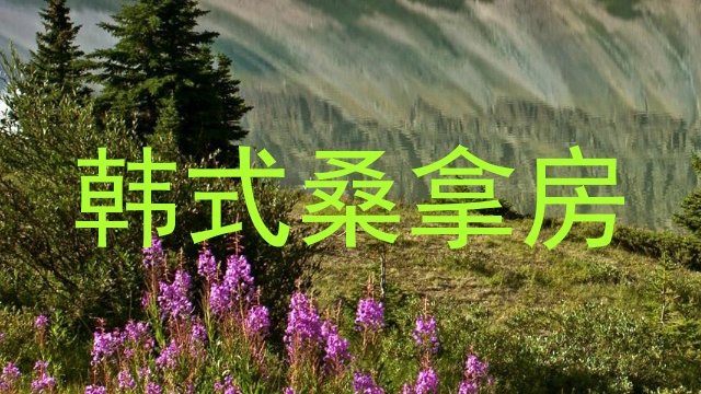 韩式桑拿房