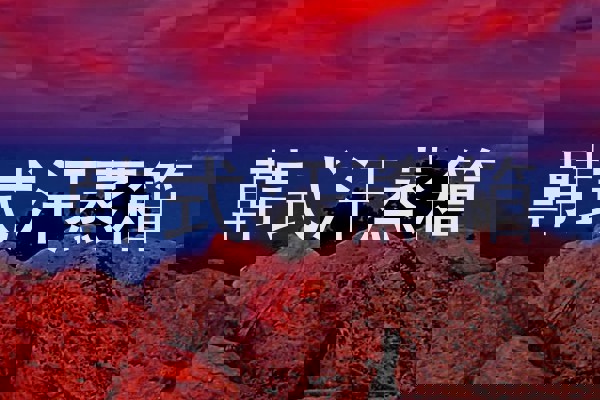 韩式汗蒸箱