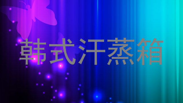 韩式汗蒸箱