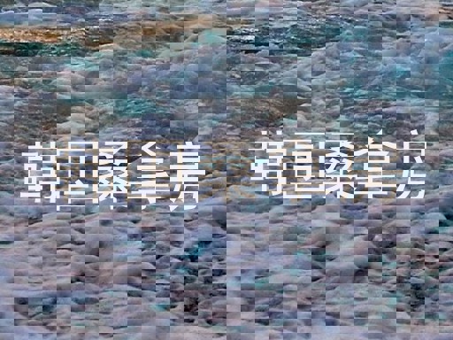 韩国桑拿房