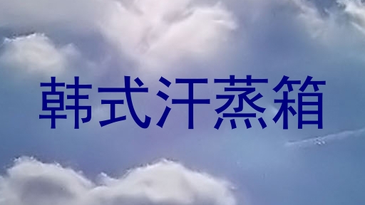 韩式汗蒸箱