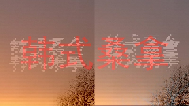 韩式桑拿