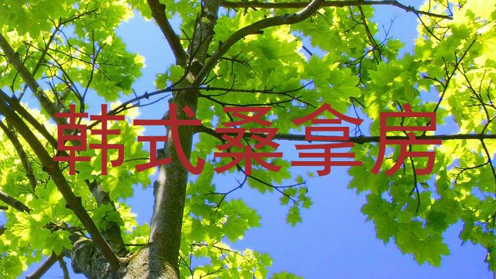 韩式桑拿房