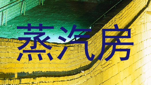 蒸汽房