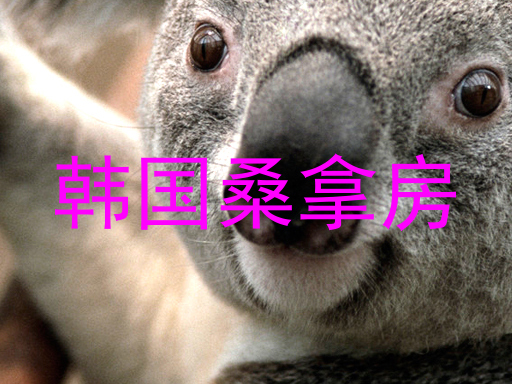 韩国桑拿房