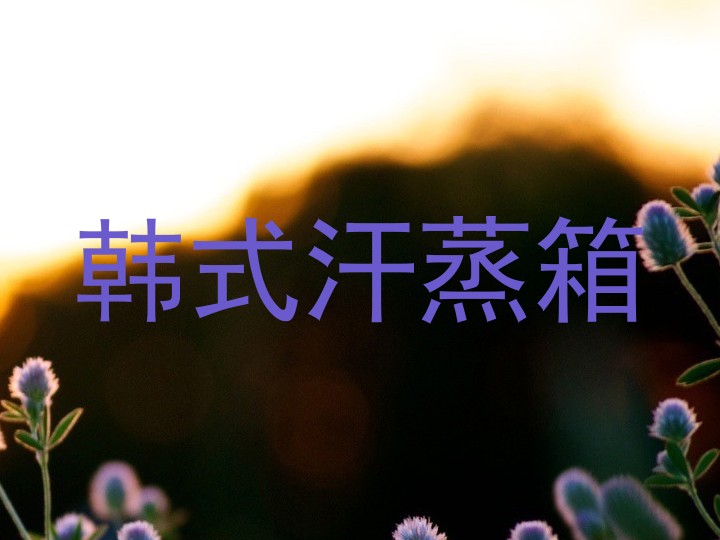 韩式汗蒸箱