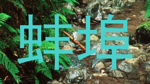 蚌埠