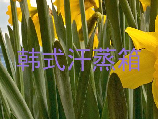 韩式汗蒸箱