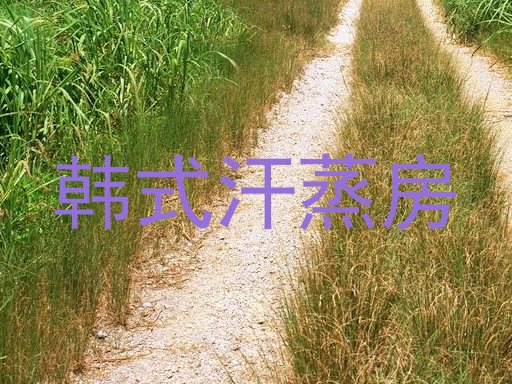 韩式汗蒸房